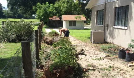 Emergency Tree Removal